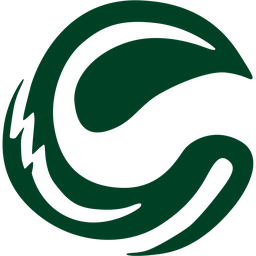 Decarbonizing Indonesia logo